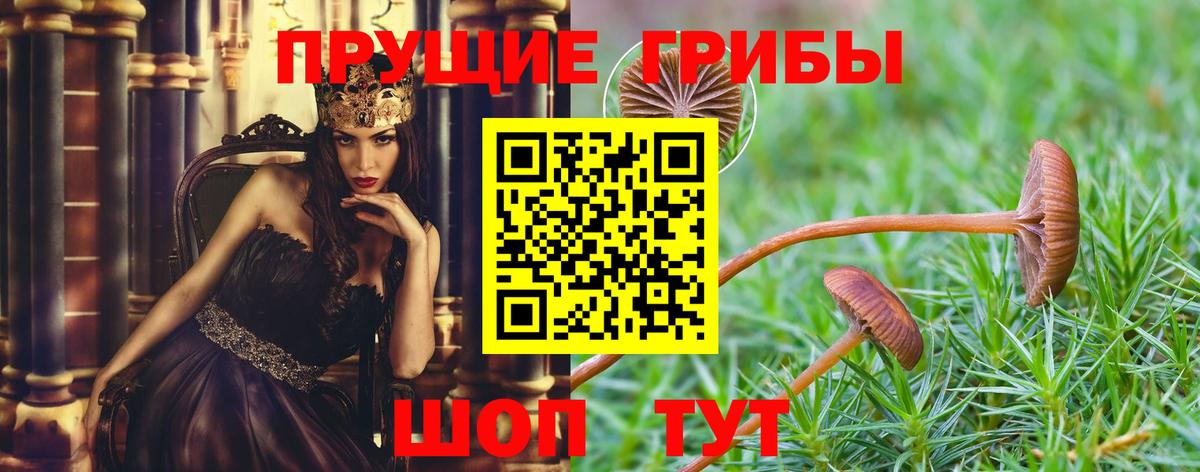 Псилоцибиновые грибы ЛСД  Псилоцибиновые грибы Cubensis  Вход с VPN  Калининград 